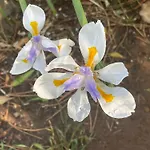 Ixia Studio-Serene, Solar, Pet Friendly, Garden And Valley Views