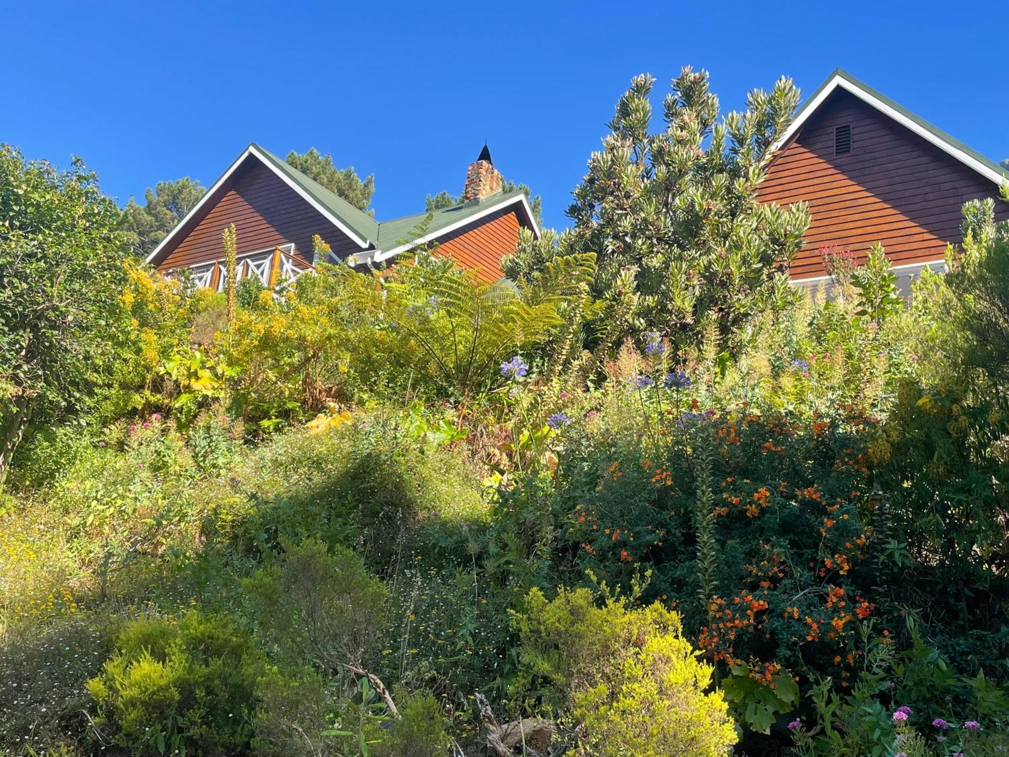 Ixia Studio-serene, Solar, Pet Friendly, Garden And Valley Views